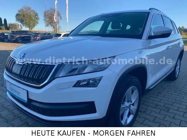 Photo 1 : Skoda Kodiaq 2019 Diesel