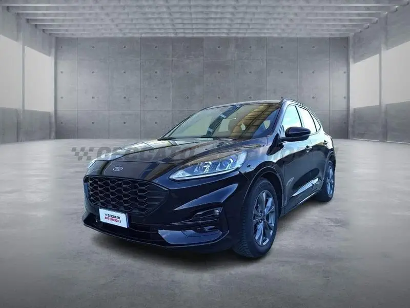 Photo 1 : Ford Kuga 2023 Diesel