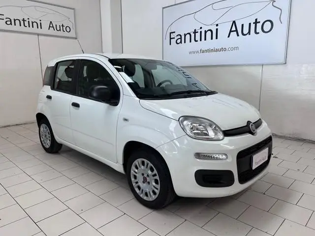 Photo 1 : Fiat Panda 2019 Essence