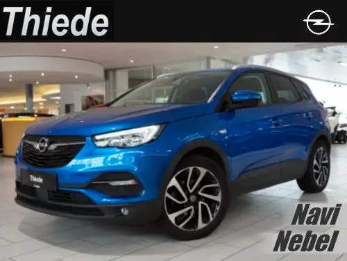 Photo 1 : Opel Grandland 2019 Petrol