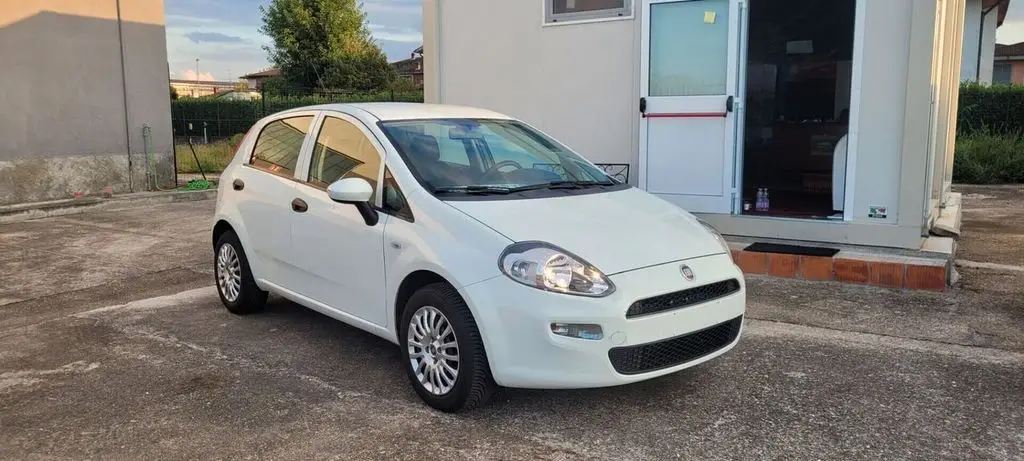 Photo 1 : Fiat Punto 2017 Petrol