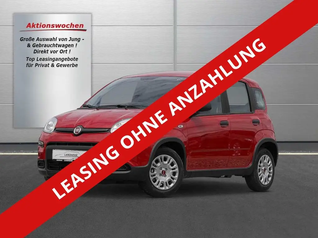 Photo 1 : Fiat Panda 2024 Petrol