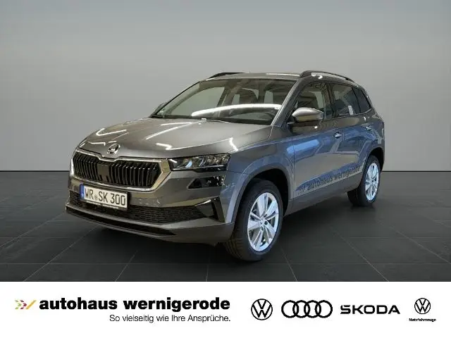 Photo 1 : Skoda Karoq 2024 Petrol