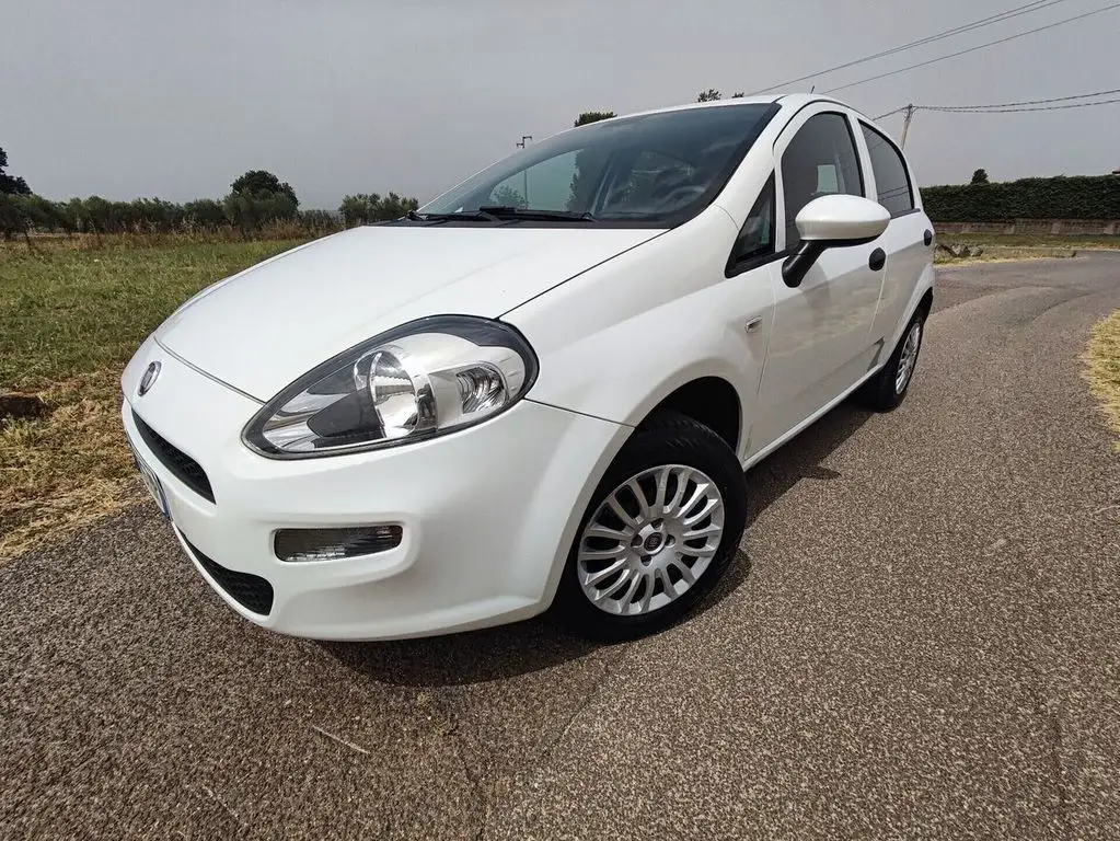 Photo 1 : Fiat Punto 2017 Autres