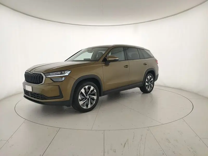 Photo 1 : Skoda Kodiaq 2024 Others