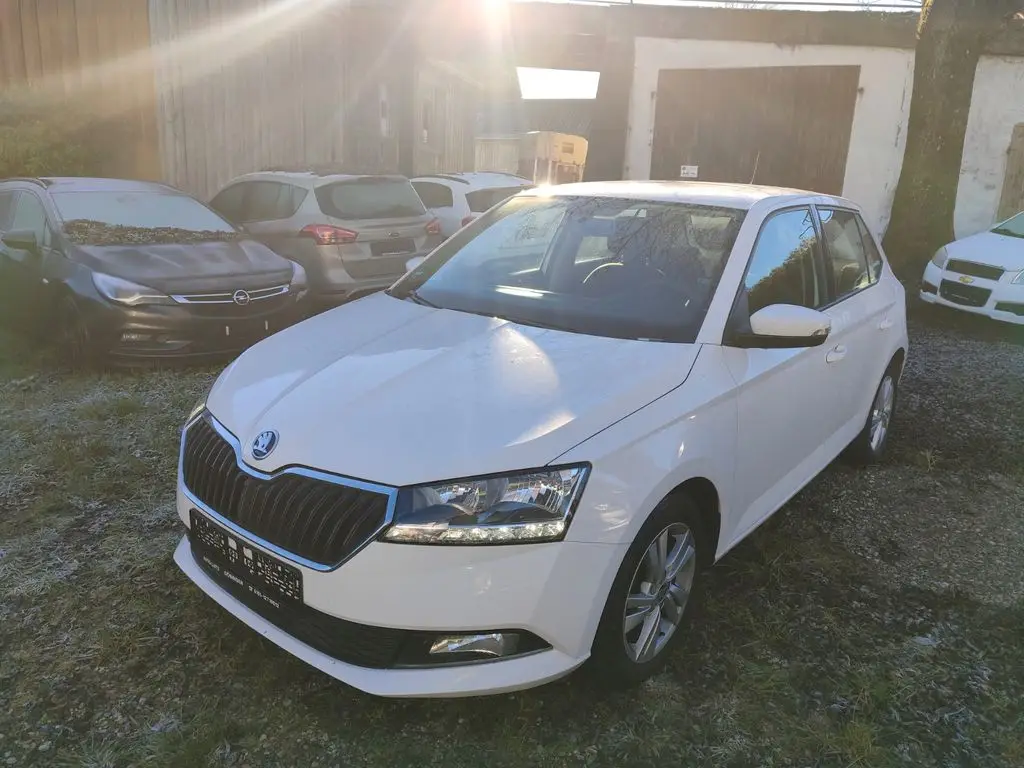 Photo 1 : Skoda Fabia 2019 Petrol