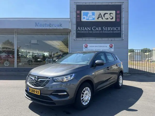 Photo 1 : Opel Grandland 2019 Petrol