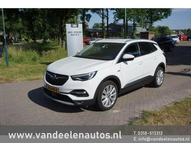 Photo 1 : Opel Grandland 2019 Petrol