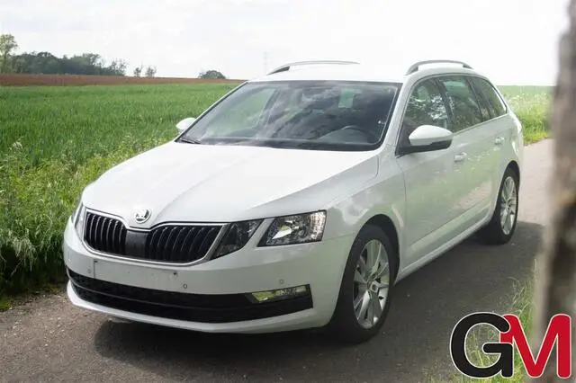 Photo 1 : Skoda Octavia 2018 Petrol