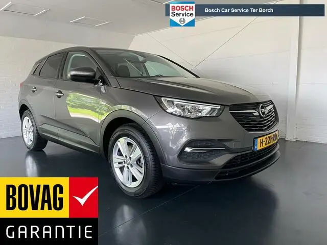 Photo 1 : Opel Grandland 2020 Essence