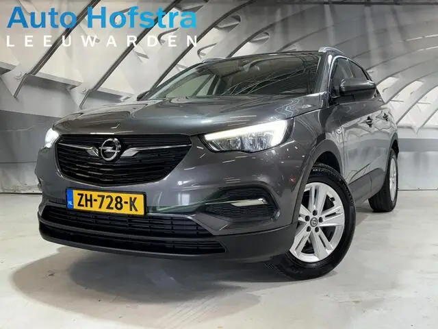 Photo 1 : Opel Grandland 2019 Petrol