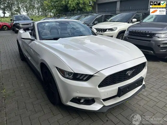 Photo 1 : Ford Mustang 2017 Essence