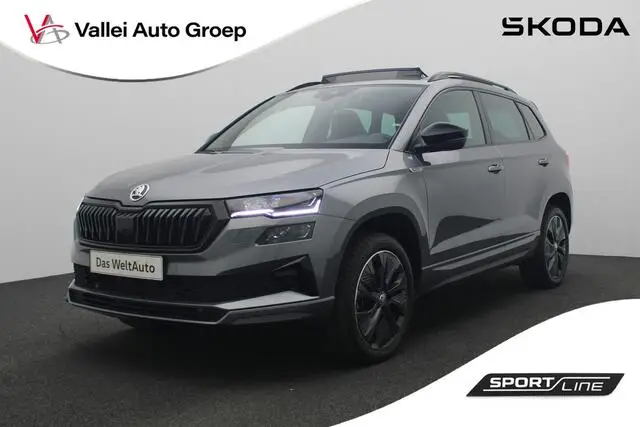 Photo 1 : Skoda Karoq 2023 Petrol