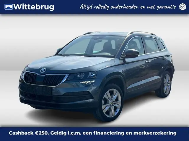 Photo 1 : Skoda Karoq 2019 Petrol