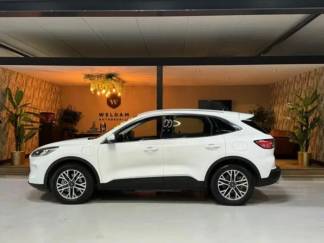 Photo 1 : Ford Kuga 2020 Hybride