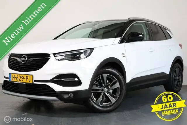 Photo 1 : Opel Grandland 2019 Petrol