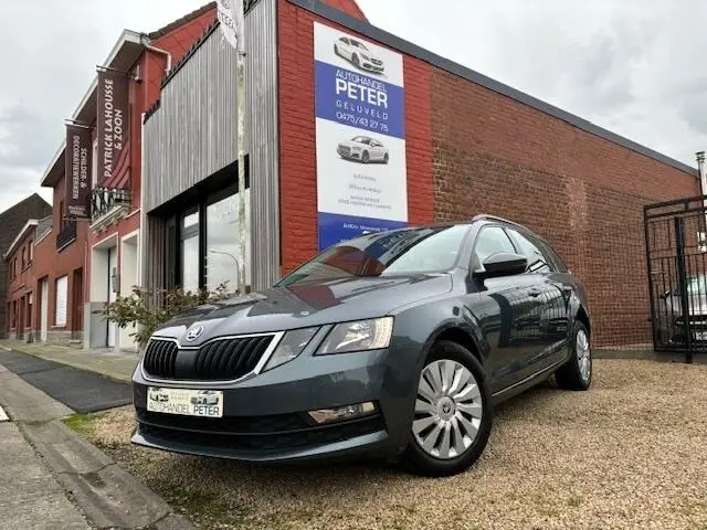 Photo 1 : Skoda Octavia 2019 Petrol