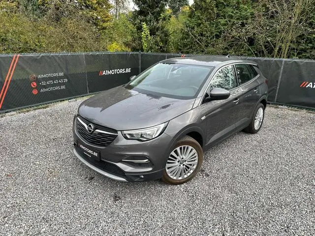 Photo 1 : Opel Grandland 2019 Petrol