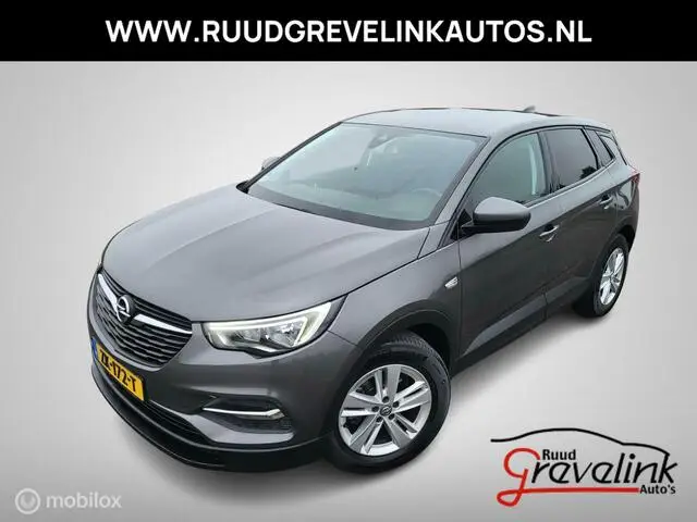 Photo 1 : Opel Grandland 2019 Petrol