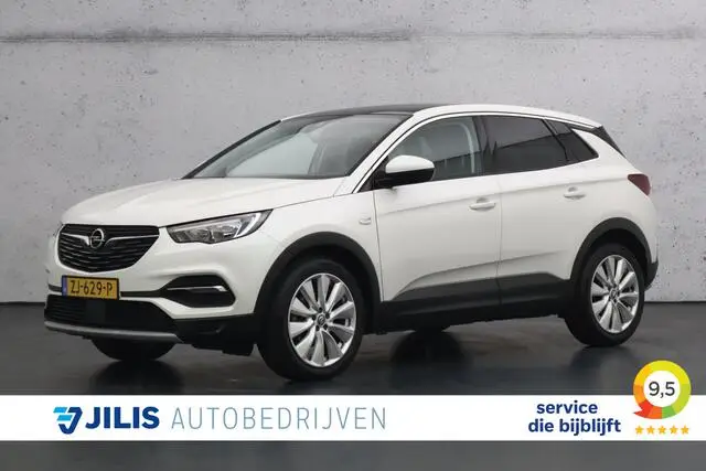 Photo 1 : Opel Grandland 2019 Petrol