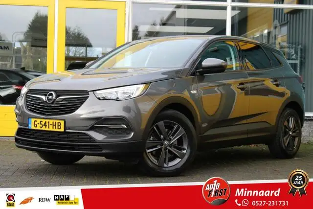 Photo 1 : Opel Grandland 2019 Petrol