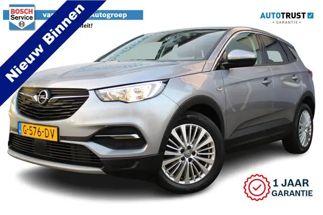 Photo 1 : Opel Grandland 2019 Petrol